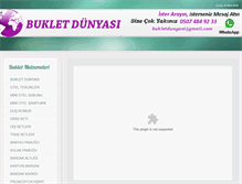 Tablet Screenshot of bukletdunyasi.com